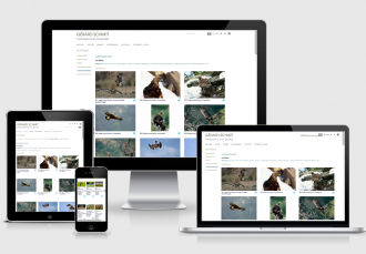 Gérard Schmitt - Photographe animalier - 1