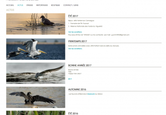 Gérard Schmitt - Photographe animalier - 2