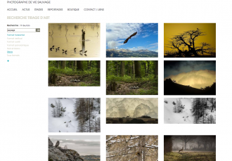 Gérard Schmitt - Photographe animalier - 3