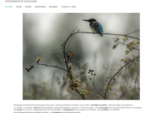 Gérard Schmitt - Photographe animalier - 4