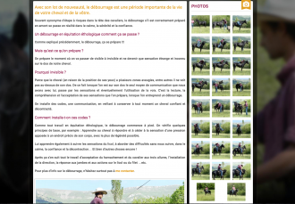 Natural Horse Logic - 1