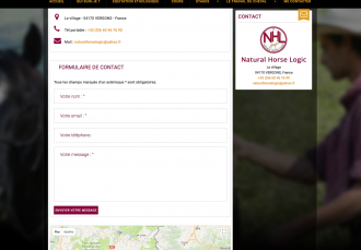 Natural Horse Logic - 2