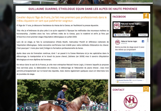 Natural Horse Logic - 4