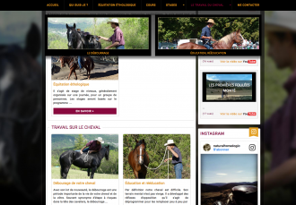 Natural Horse Logic - 5