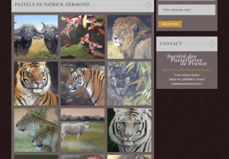 Société des Pastellistes de France - 2