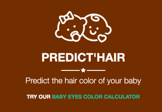 Application web - Predict Hair