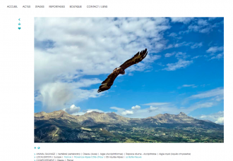 Site internet - Gérard Schmitt - Photographe animalier